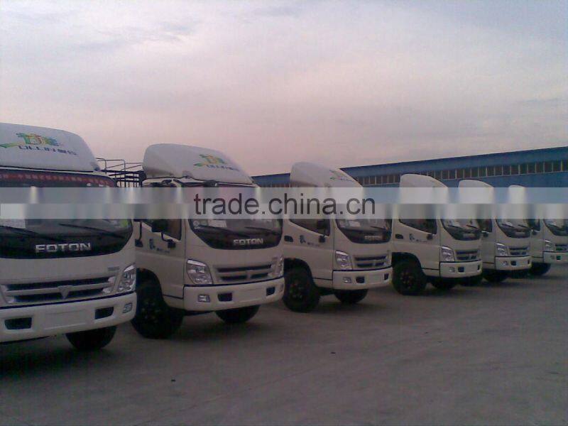 light truck,lorry,automobile,car,cargo truck,box van