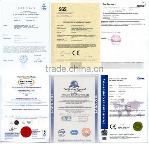 automatic water drain valve