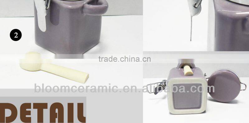 Porcelain sealed canister with scoop