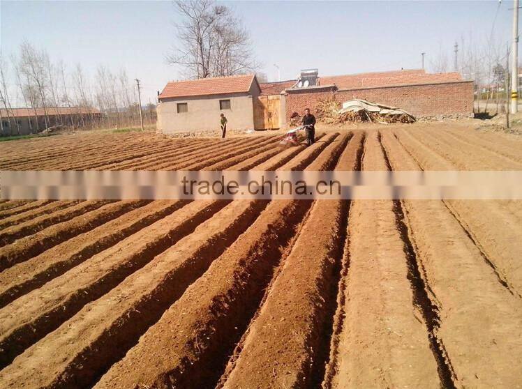 Multi-function agricultural ridgers