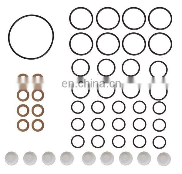 High Quality Diesel Fuel Injection Pump Repair Kits 800619 800620