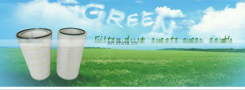 Replace Filter oval thermo-web cartridge p199415-016-429