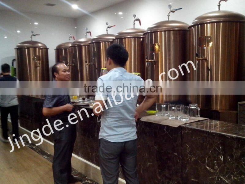 The average daily output 500 L beer brewing equipment