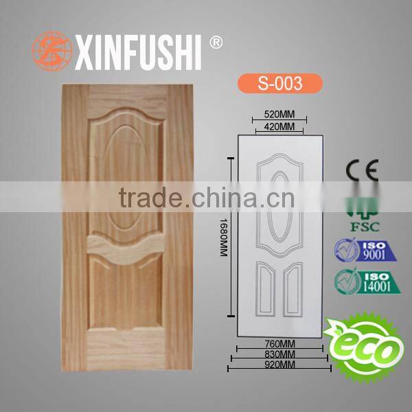 new design door skin