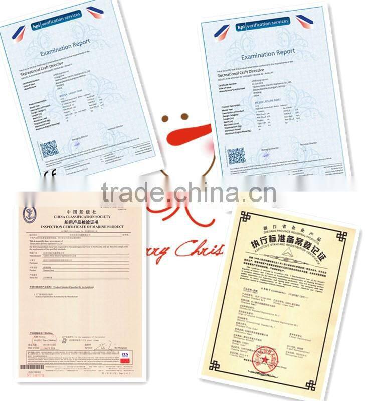 Electric entertainment party boating