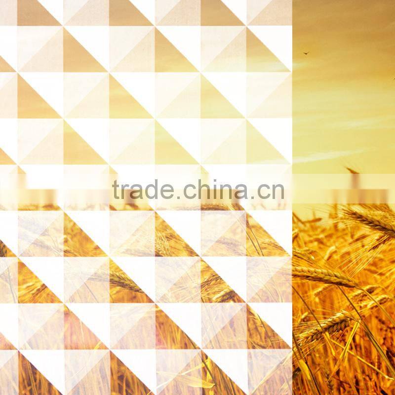 2015 window smart tint film glass film