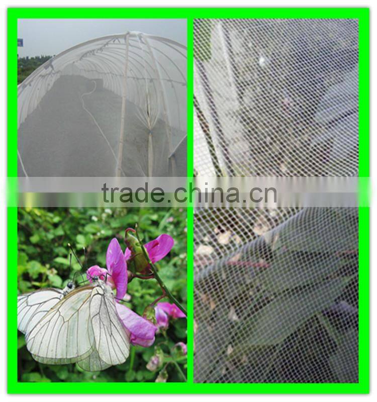 Suntex virgin HDPE anti-insect mesh netting for cultivation of flowers