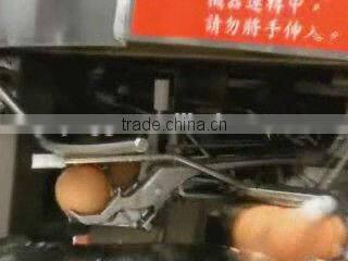 farm equipment stainless steel 3000pcs/h hen egg breaking machine for sale(008613823777570)