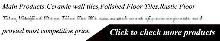 250x400MM WT0003 Ceramic Wall Tile