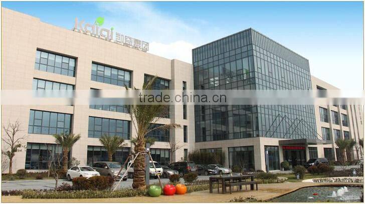 Kaiqi group Outdoor Garden Plastic PE board elephant Spring Rider for Kids Play