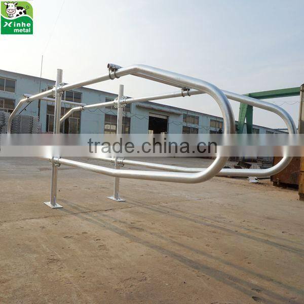Hot dip galvanised Single Type Free Stall Cow