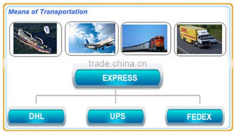 High Quality Hot Selling Quick Dome Tent