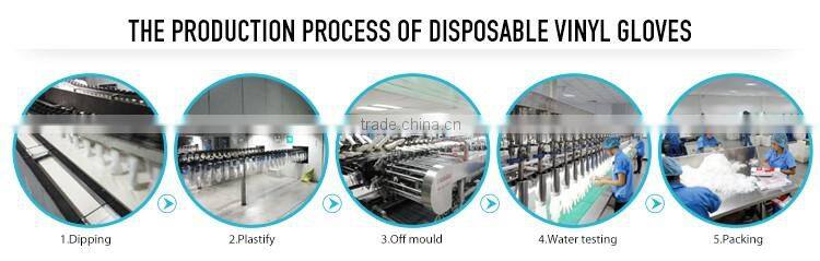 Disposable Clear HDPE Gloves