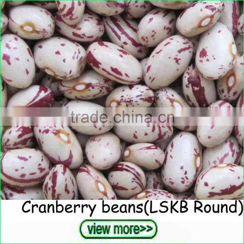 Export Grade Shine Skin Pumpkin Seeds in Bulk