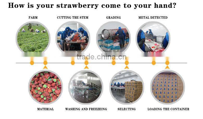 wholesale frozen fruits factory frozen whole strawberry
