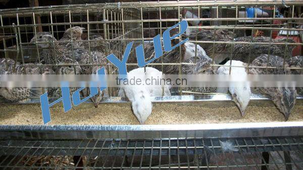 Quail Cage Equipment with all the accessary