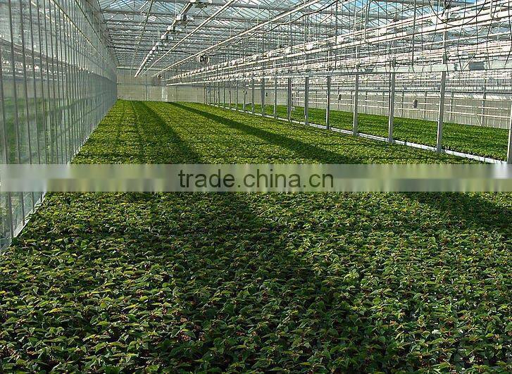 China Made Best Economical fiber solar transparent roof tile