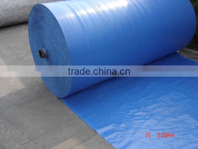 Polyethylene sheets Camping tarps 100% virgin pe tarpaulin