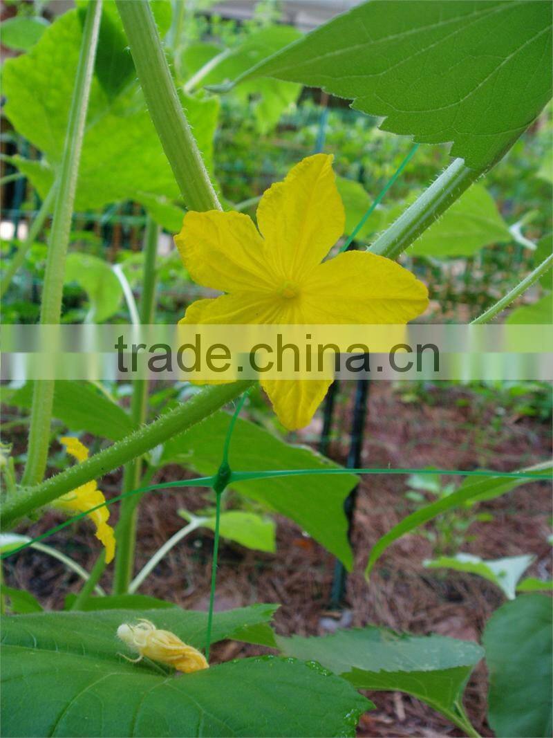 High quality HDPE Plant climbing net