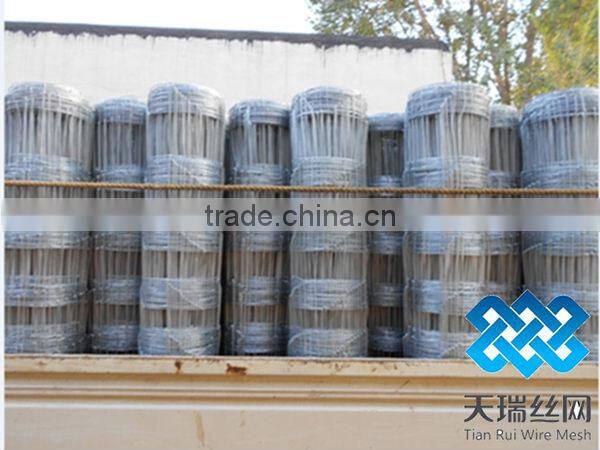 galvanized iron grassland fence / galvanzied grassland fence / cattle fence