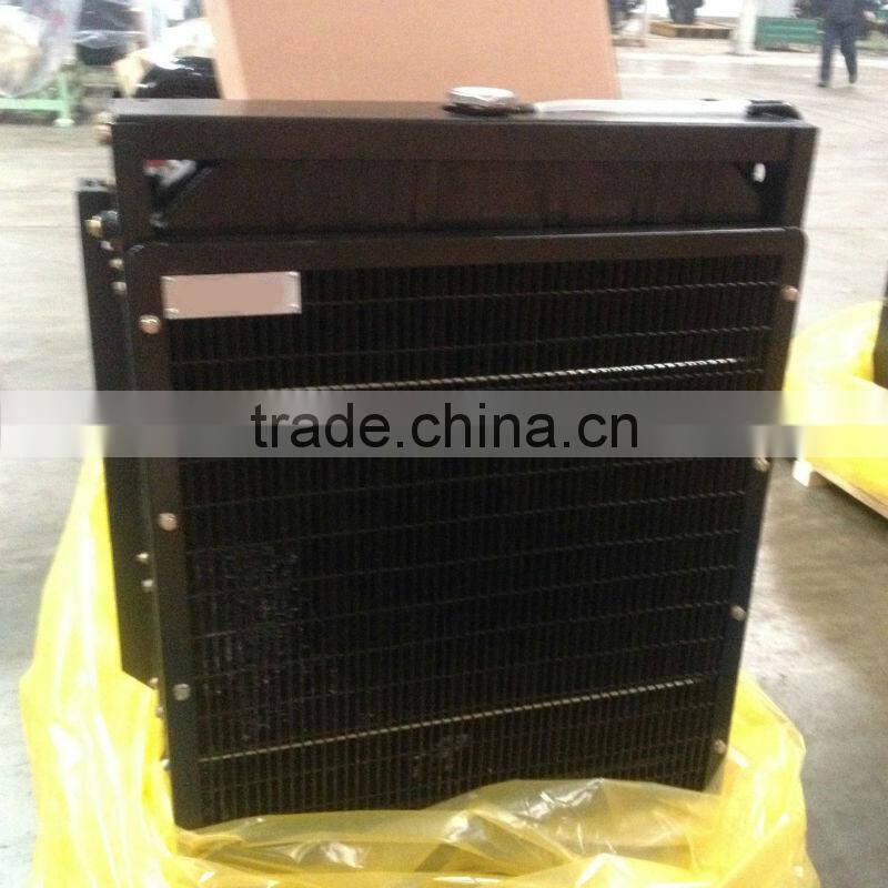 ROTARY PUMP DIESEL GENSET ENGINE 1006TAG