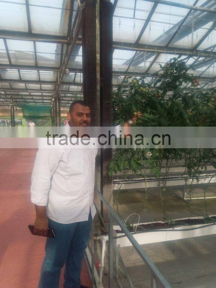 Hot sale 9.6m multi-span agriculture glass greenhouse grow tent for planting