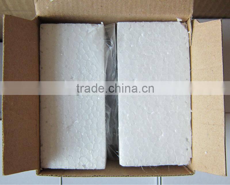 Plastic ghost snow globe