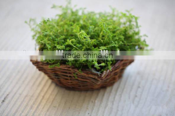 iron frame willow body wicker baskets for plants with plastic lining