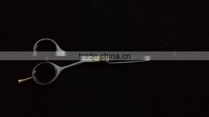 Professional Sharpening Hairdressing Scissors