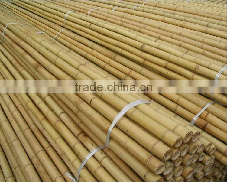 Bamboo Product of Construction Material
