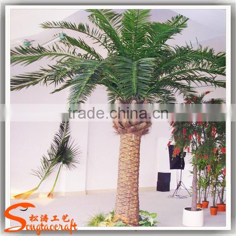 China manufacturers artificial plastic phoenix palm tree for sale