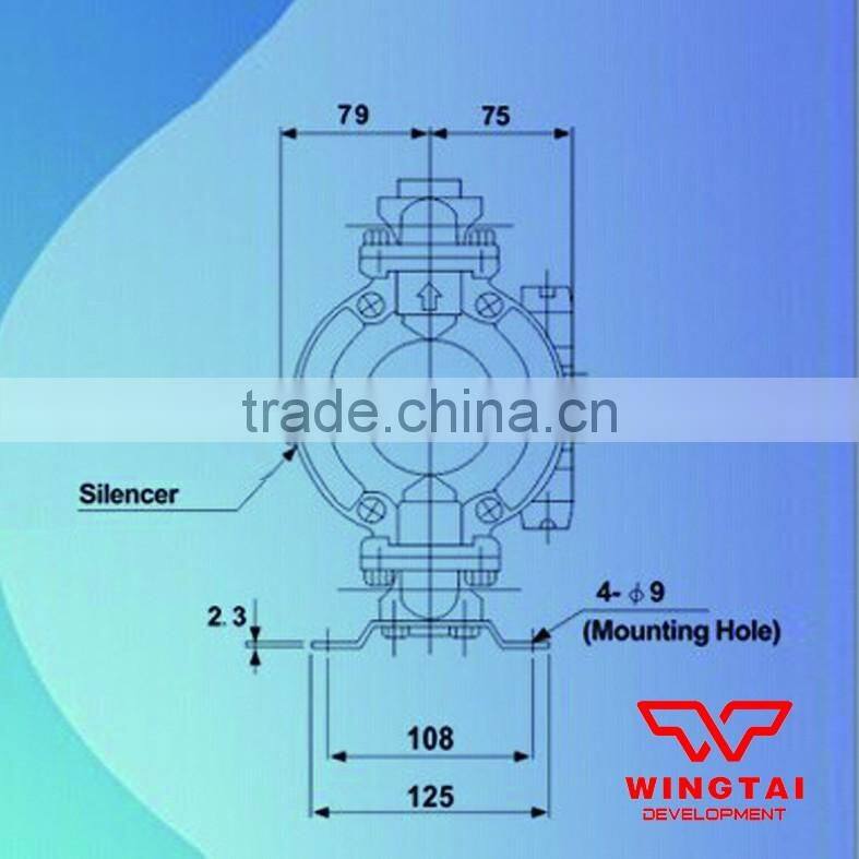 Two-way pneumatic diaphragm pumps