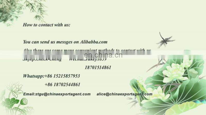 Professional yiwu Switzerland agent commodities