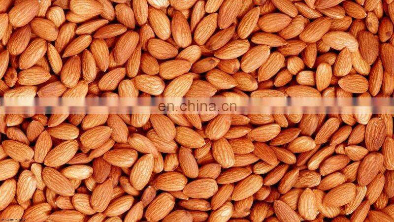wholesale almonds - American Almonds/ Almond Kernels