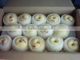 Top quality fresh pear for sale