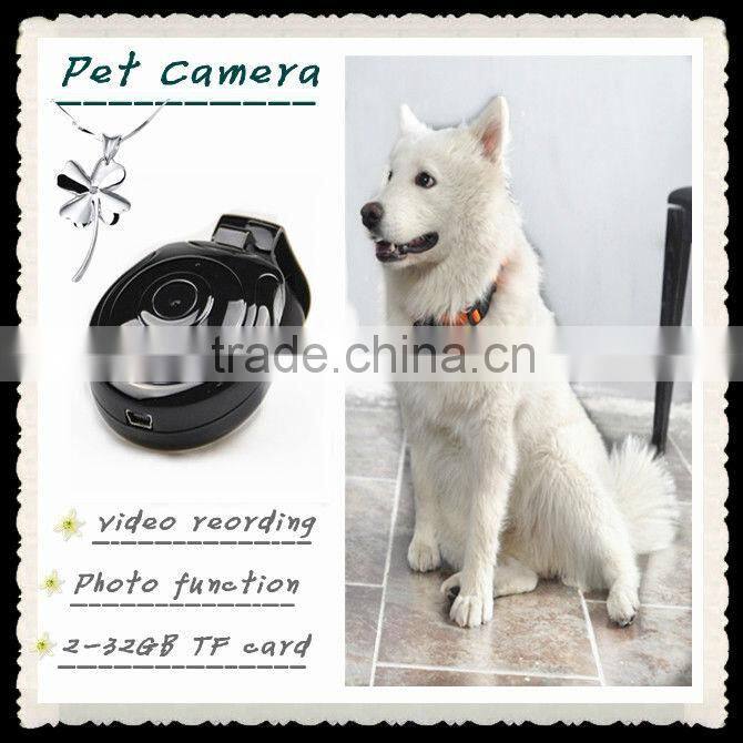 Pet Eye View Dog Puppy Kitten Cat Pet Collar digital Camera