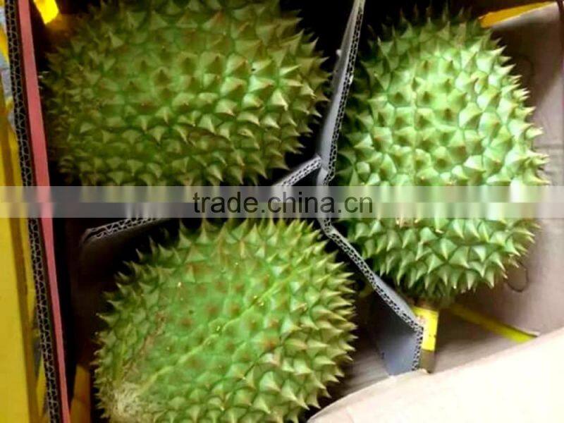 VIET NAM DURIAN- monthong durian