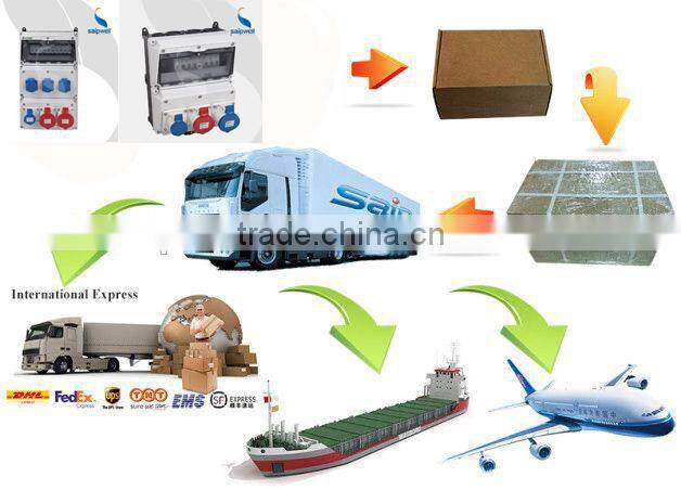 SAIP/SAIPWELL Customized Combination Socket Box