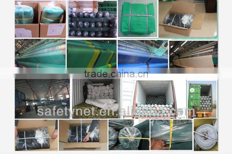 fence netting(professional manufacturer,best price and good quality)