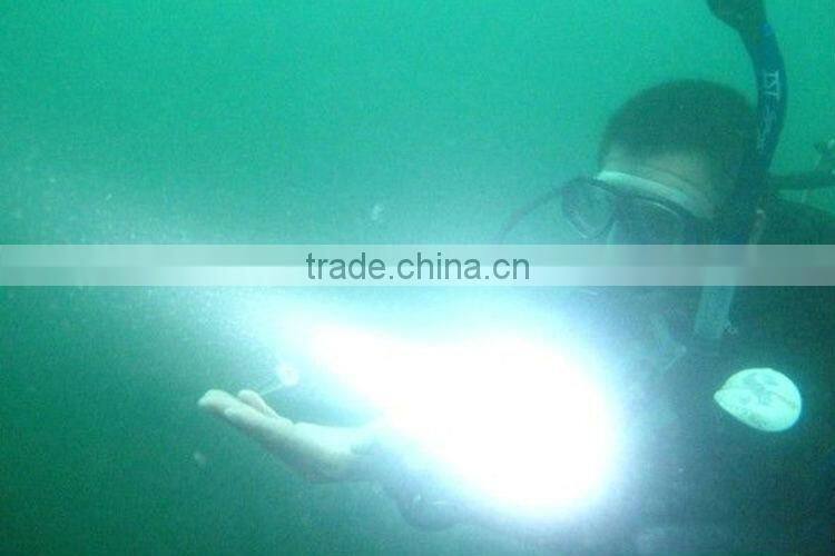 C42 T6 High Power dive flashlight