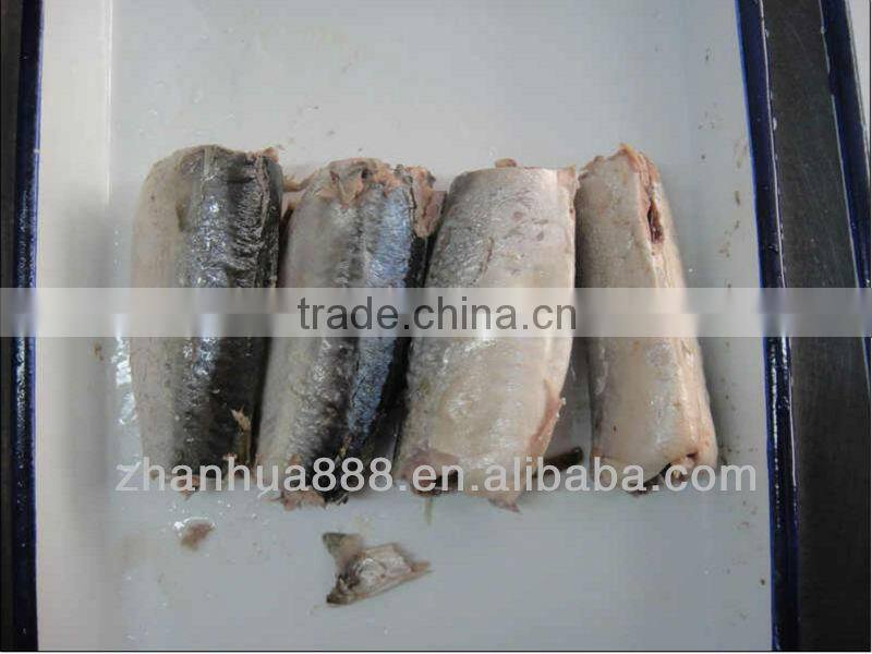 canned mackerel in tomato sauce 425g