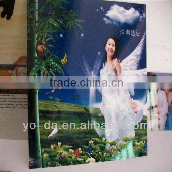 digital Glass Ashtray Printing Machine Price & Manufacturer