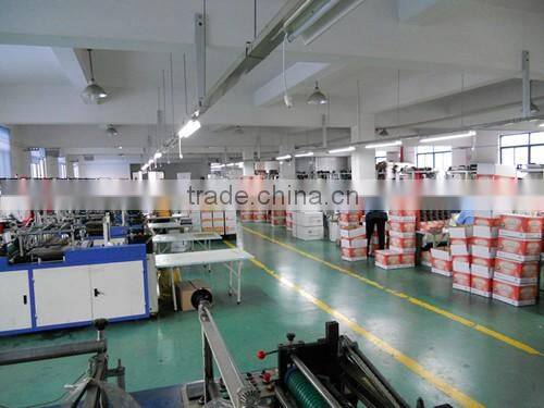 wholesale disposable plastic CPE gloves for householed