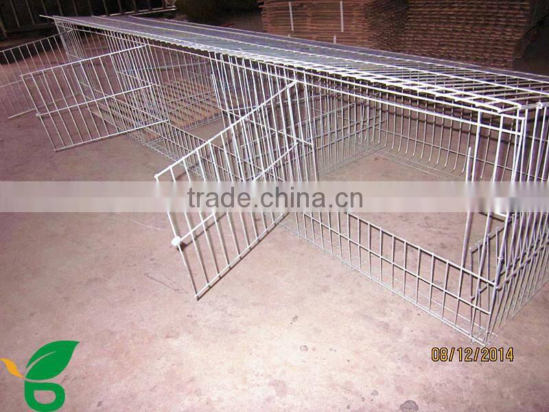 galvanized welded steel wire mesh rabbit cages