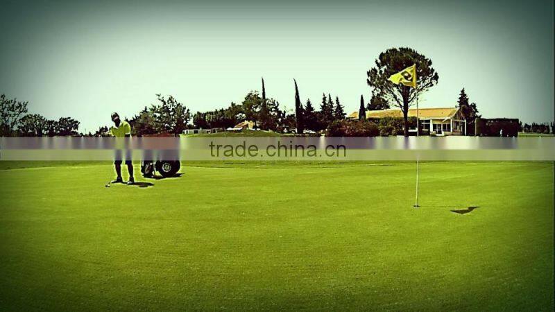 2 wheels electric skateboard Golf chariot with handle CE ROHS FCC MSDS