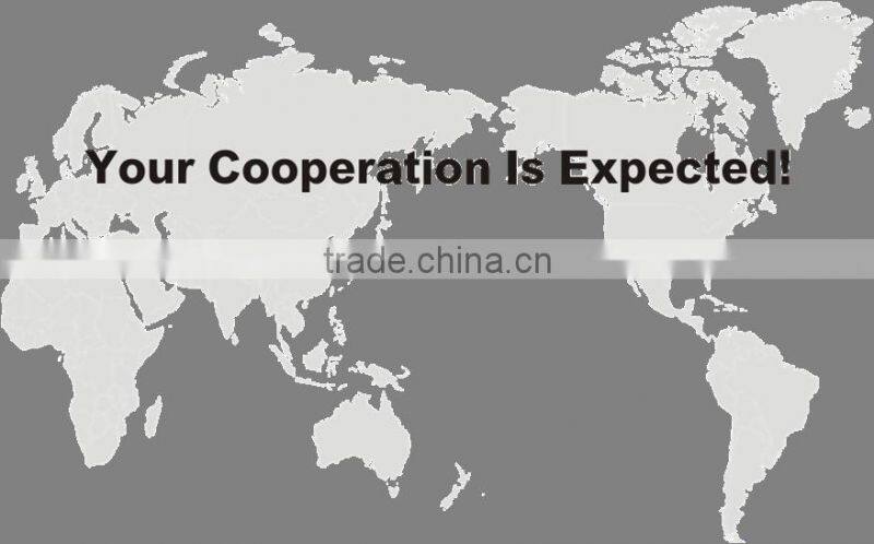 9L household foshan stainless steel oven for sanwich cooker