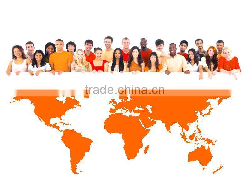 Factory promotional!! hot selling low price car license frame with chrome finish