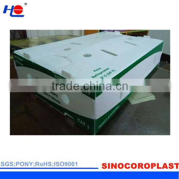 pp corrugated plastic white box