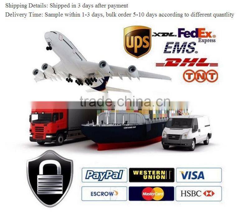 Smart Two Wheel Self Balancing Electric Scooter with Wireless Bluetooth Speaker and LED Lights