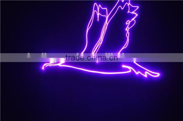 Beautiful 230mW RGB Mini Animation laser lighting